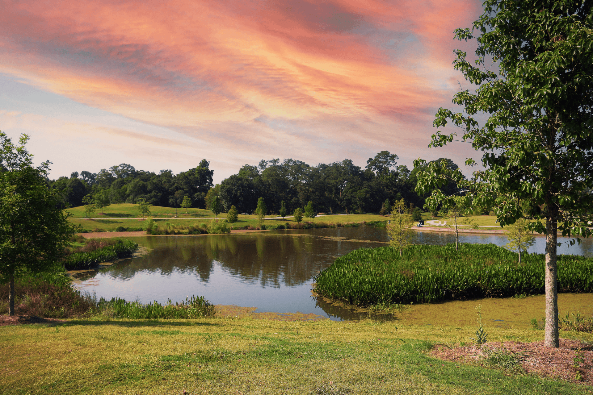 Moncus Park