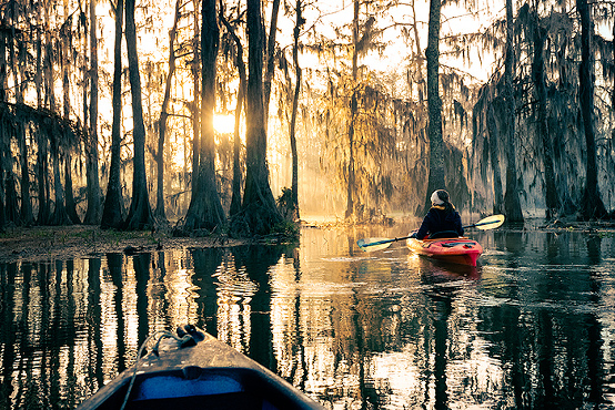 Bayou & Beyond - Lafayette Louisiana