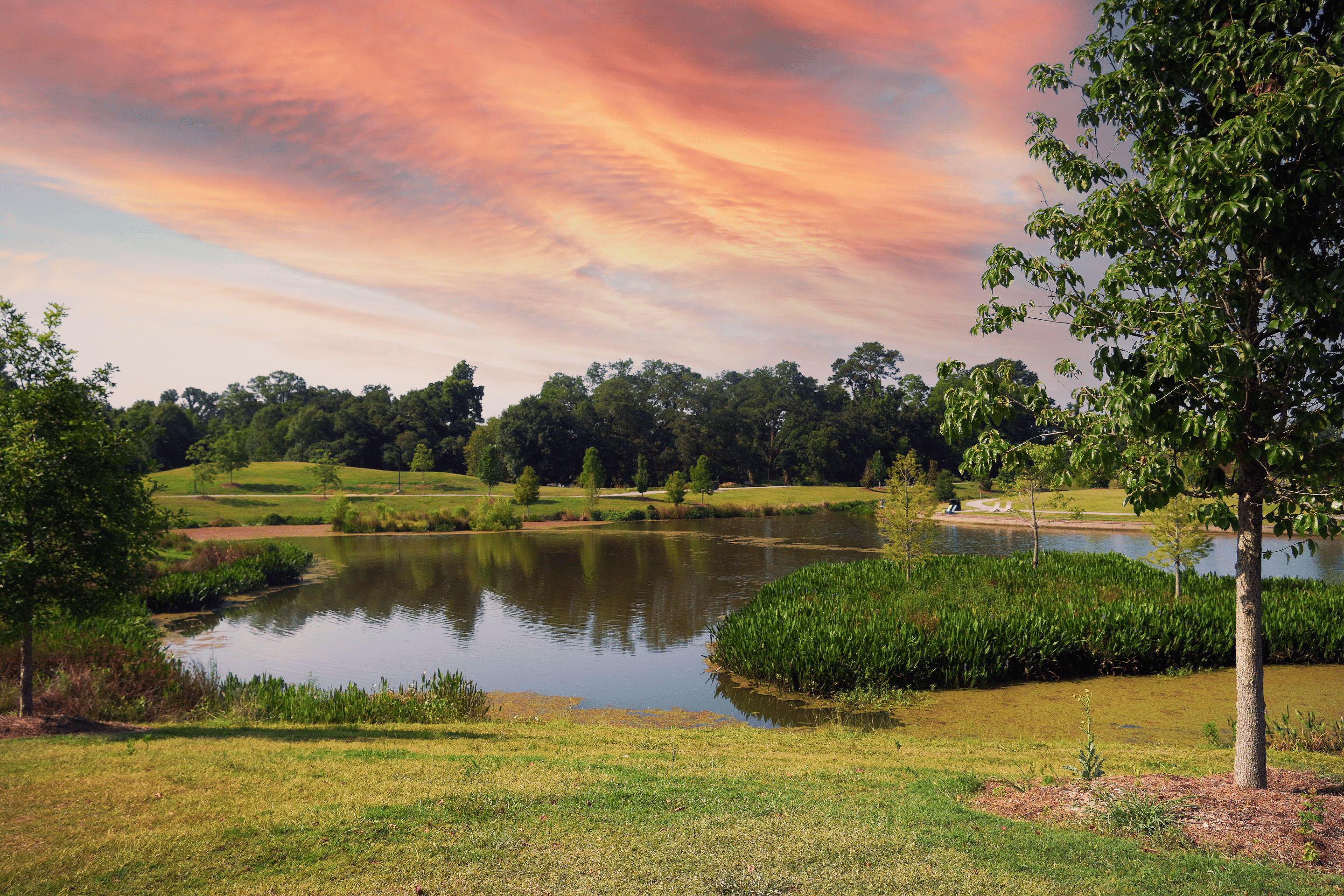 Family Fun Day - Lafayette Louisiana